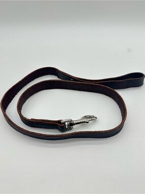 Circle T Brown Leather Dog Leash with Silver Tone Hardware